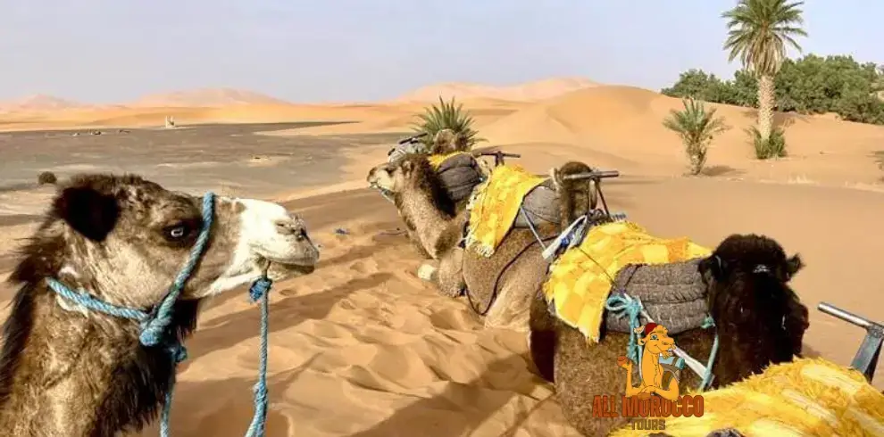 2 Days tour from Fes to Merzouga