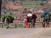 6 days tour from casablanca to marrakech