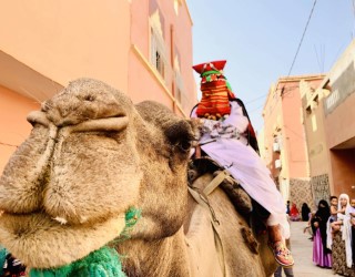 6 days start from marrakech to desert