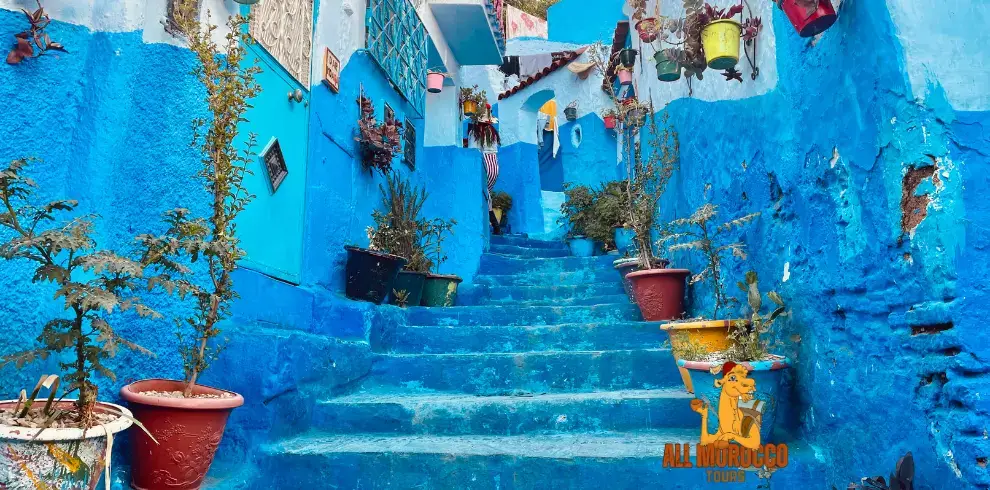 Bright blue stairs lined with colorful potted plants lead through the blue walls of Chefchaouen taken during a 6 days tour from Tangier to Marrakech.