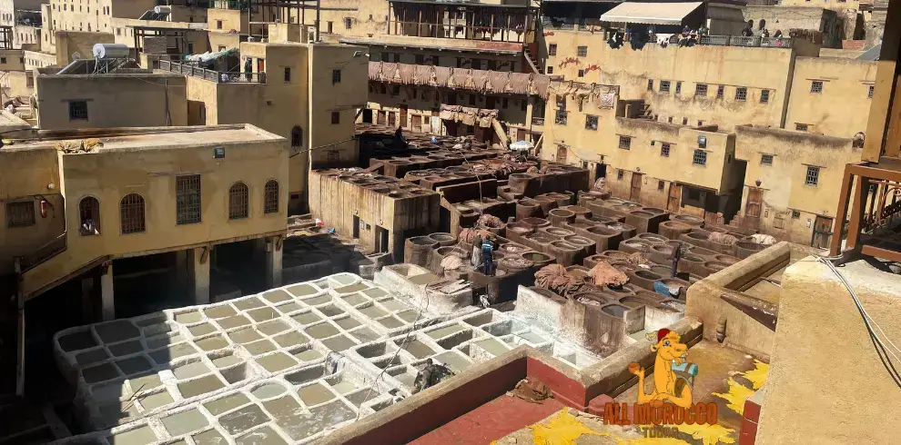 Fes tanneries