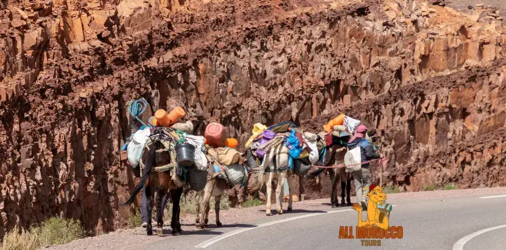 People and a donkey loaded with green plants walk on a road. They are near small red houses of a mountain village in Morocco during a 6 day tour from Casablanca to Marrakech.