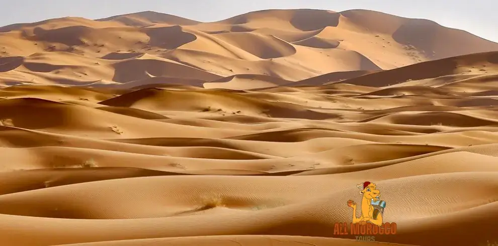 Waves of golden sand dunes stretching into the distance part of the scenery on a 4-day tour from Marrakech