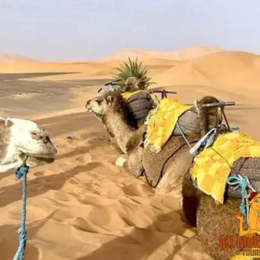 2 Days tour from Fes to Merzouga