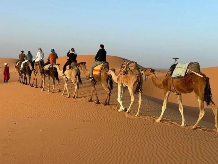 8-days-tour-from-marrakech-merzouga-camel-trek