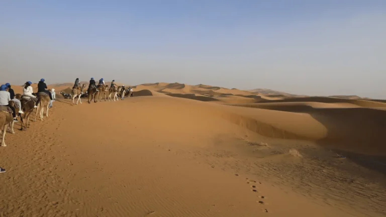 Camel trek in Merzouga Desert during a 3 Days Sahara Desert Tour from Marrakech
