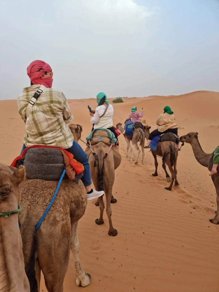 Camel trekking in Merzouga Desert sand dunes during a 7-day Morocco tour