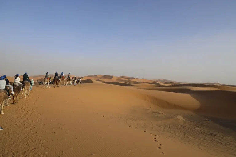 Camel caravan in the Erg Chebbi dunes on a 3-day Fes to Marrakech desert tour via Merzouga